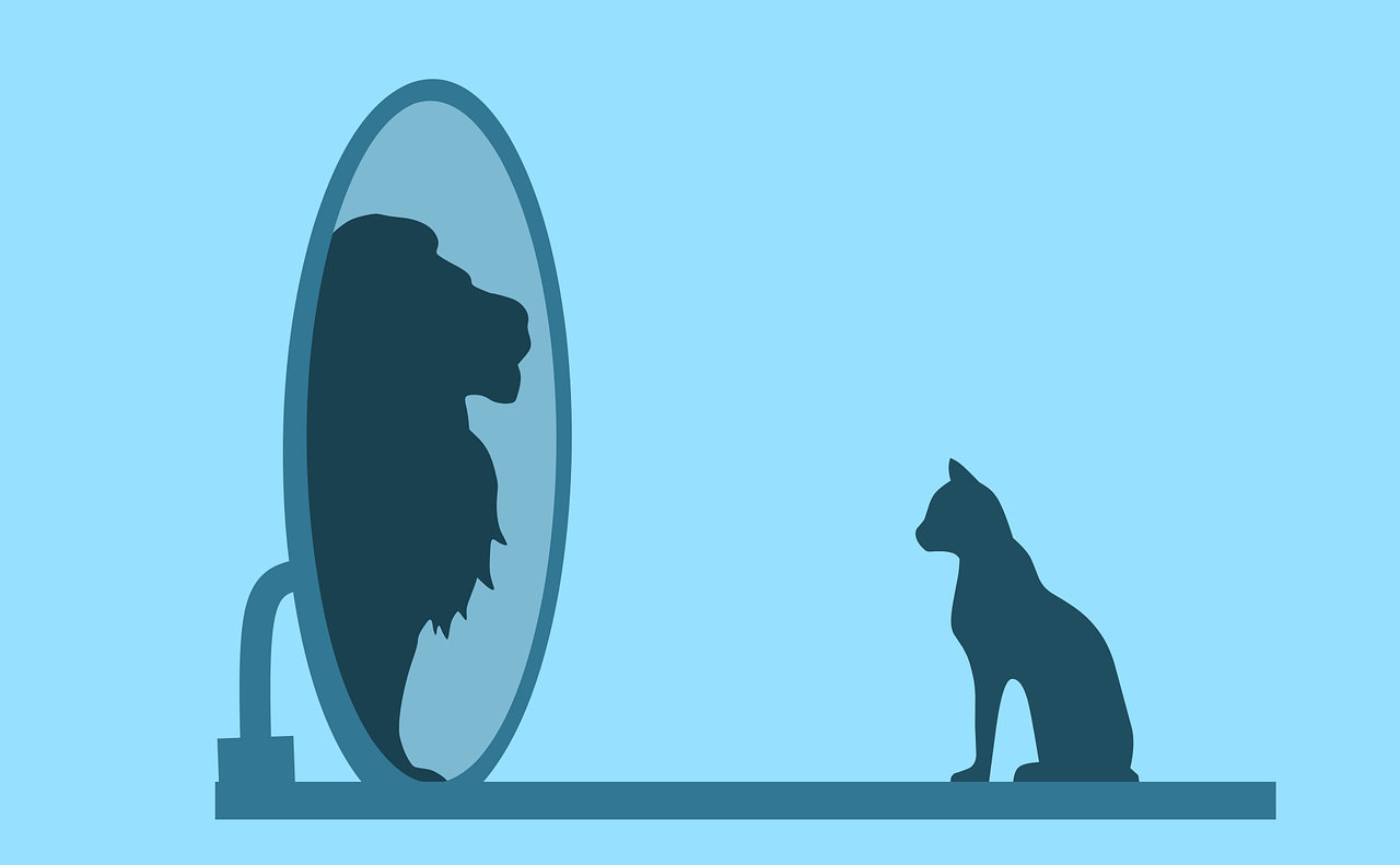 cat, mirror, lion